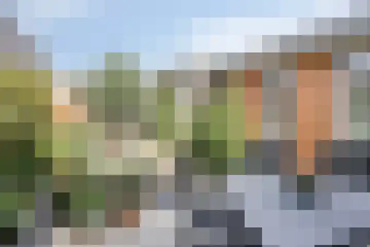 De Scheifelaar 323 Veghel thumbnail 30