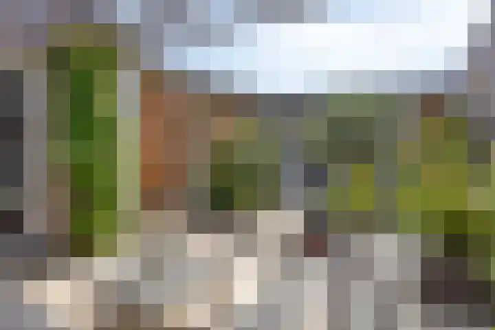 De Scheifelaar 323 Veghel thumbnail 31