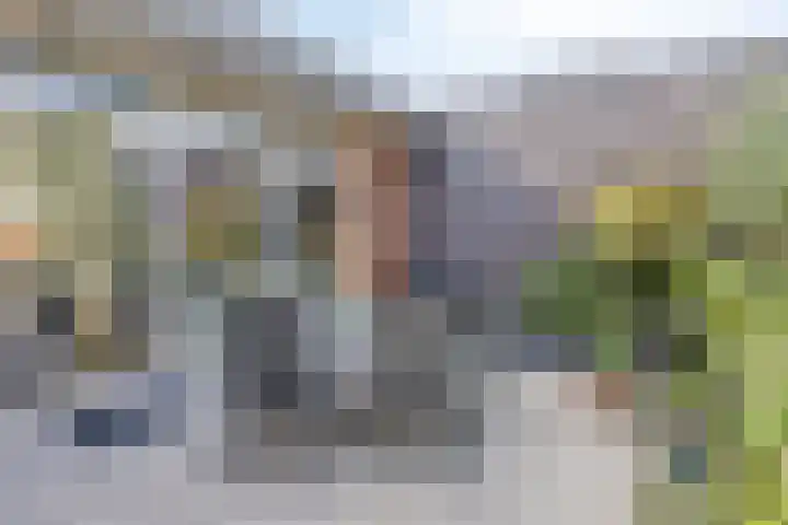 De Scheifelaar 323 Veghel thumbnail 32