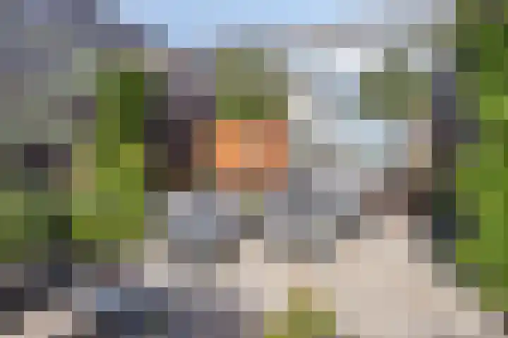 De Scheifelaar 323 Veghel thumbnail 33