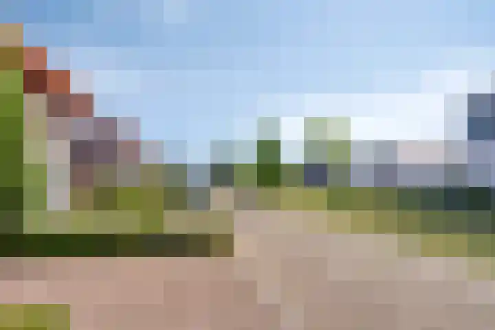 De Scheifelaar 323 Veghel thumbnail 5