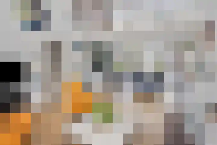 De Scheifelaar 323 Veghel thumbnail 8
