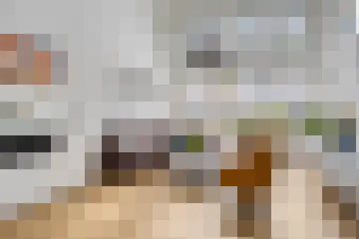 De Scheifelaar 323 Veghel thumbnail 9