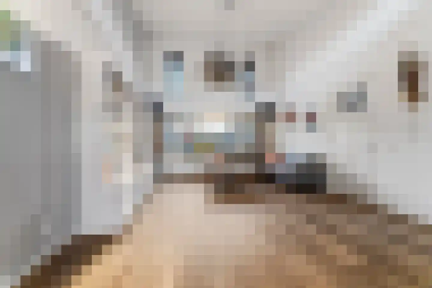 De Scheifelaar 324 Veghel thumbnail 10