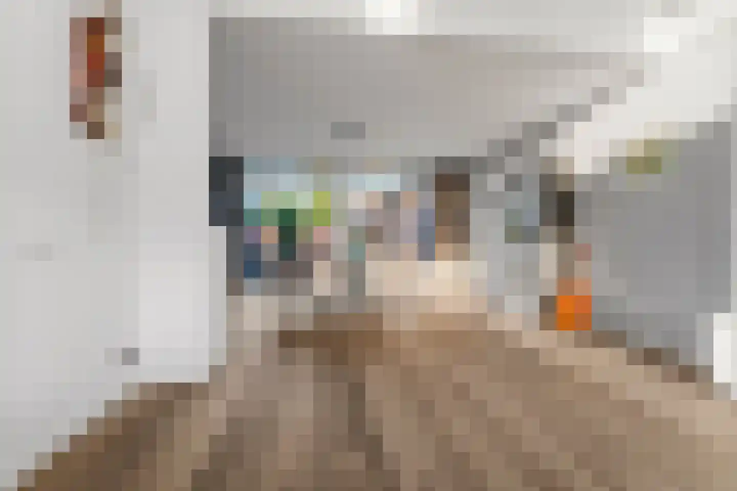 De Scheifelaar 324 Veghel thumbnail 11