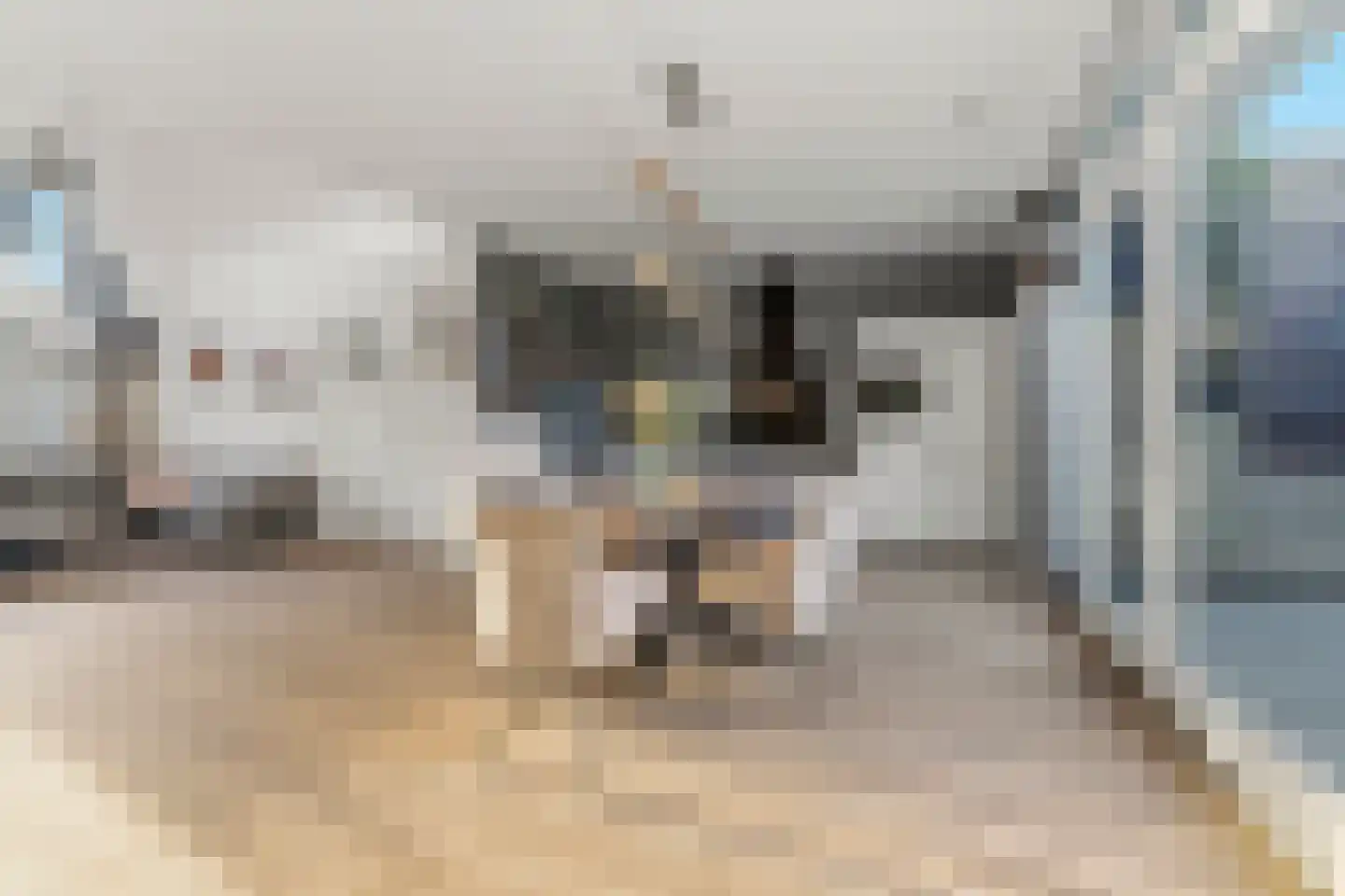 De Scheifelaar 324 Veghel thumbnail 13