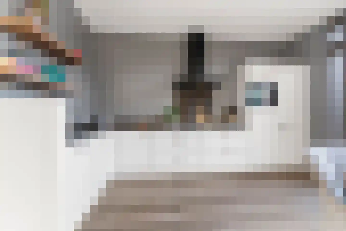 De Scheifelaar 324 Veghel thumbnail 14