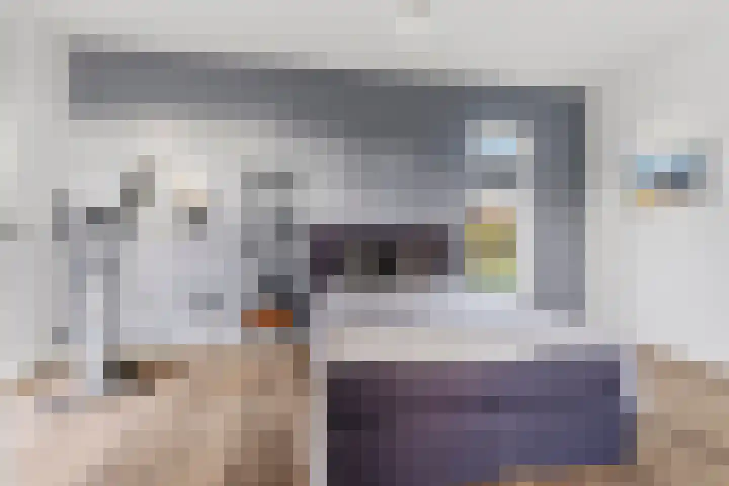De Scheifelaar 324 Veghel thumbnail 18