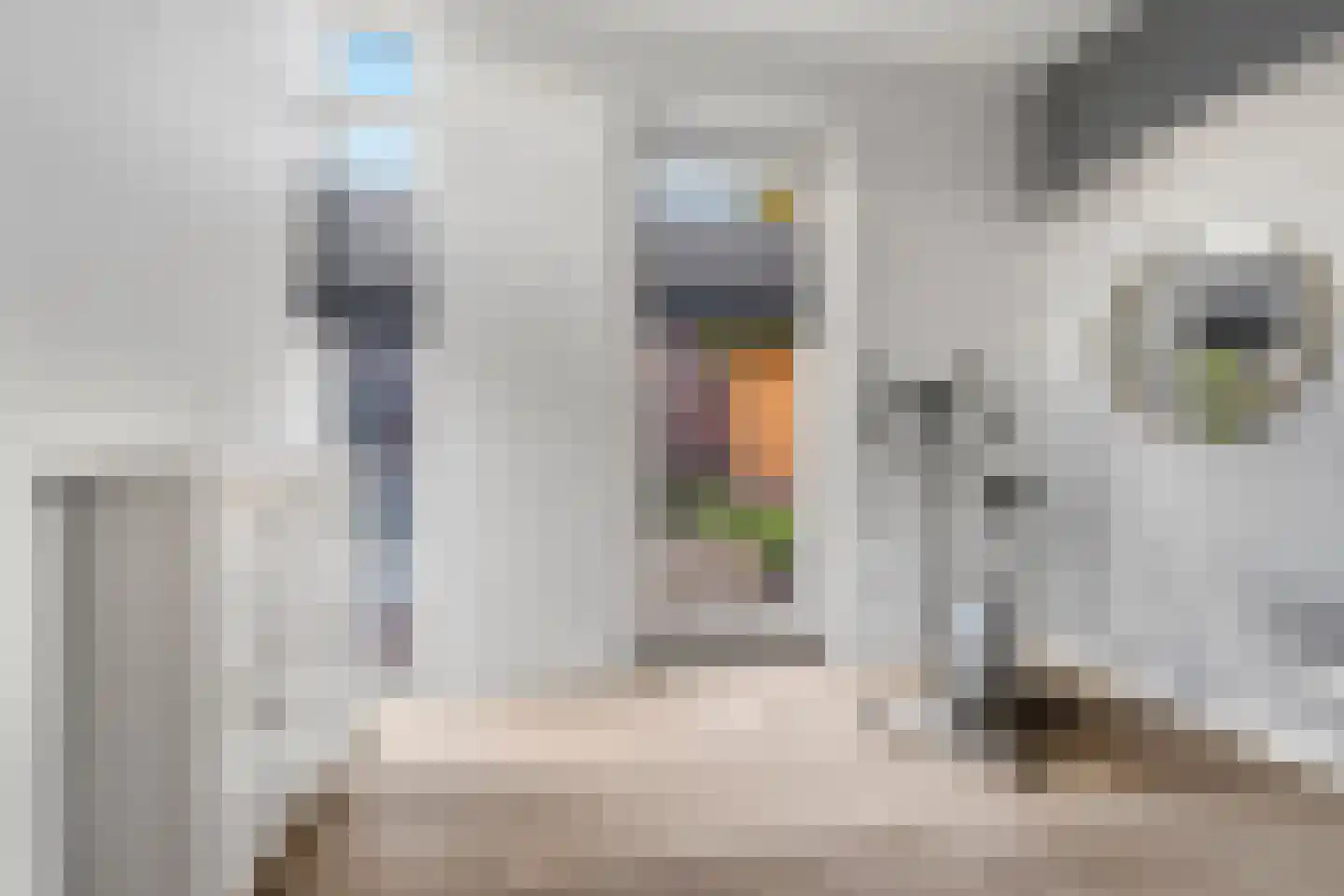 De Scheifelaar 324 Veghel thumbnail 19