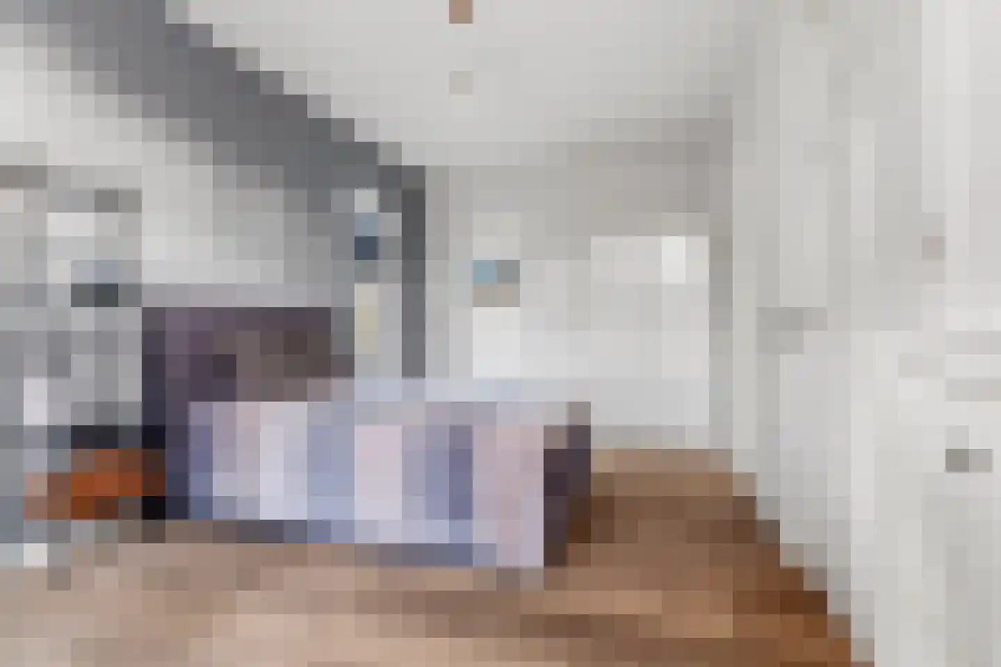 De Scheifelaar 324 Veghel thumbnail 20