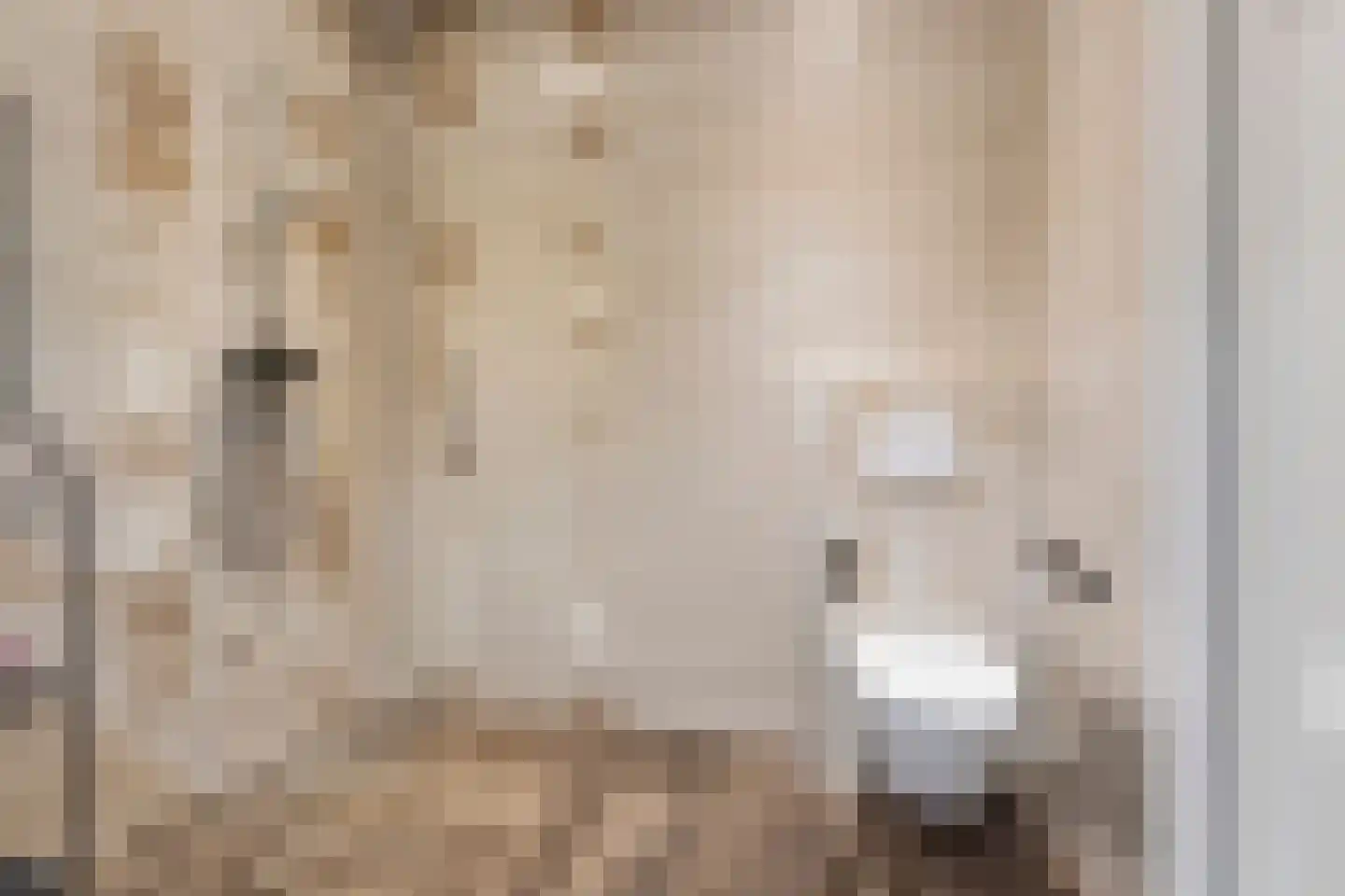 De Scheifelaar 324 Veghel thumbnail 24
