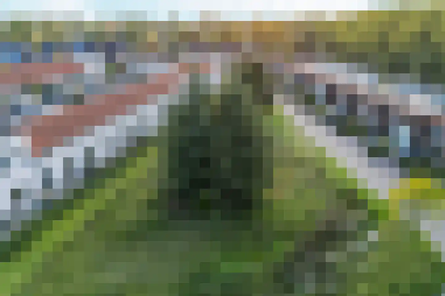 De Scheifelaar 324 Veghel thumbnail 40