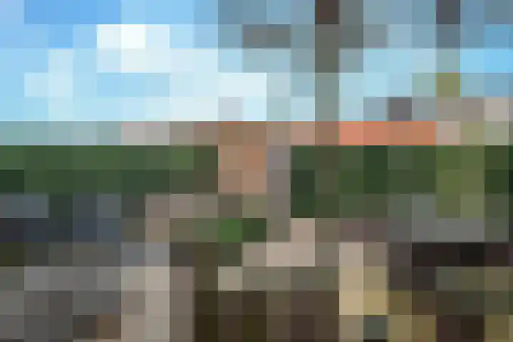 De Scheifelaar 331 Veghel thumbnail 15
