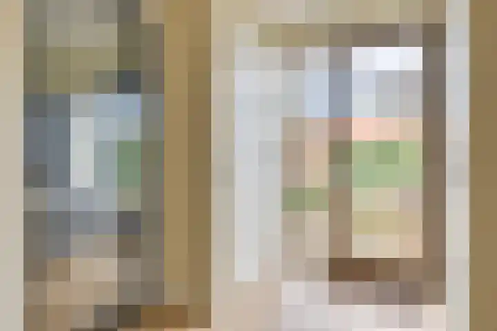 De Scheifelaar 331 Veghel thumbnail 18