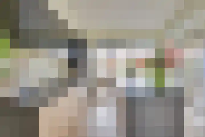 De Scheifelaar 331 Veghel thumbnail 21