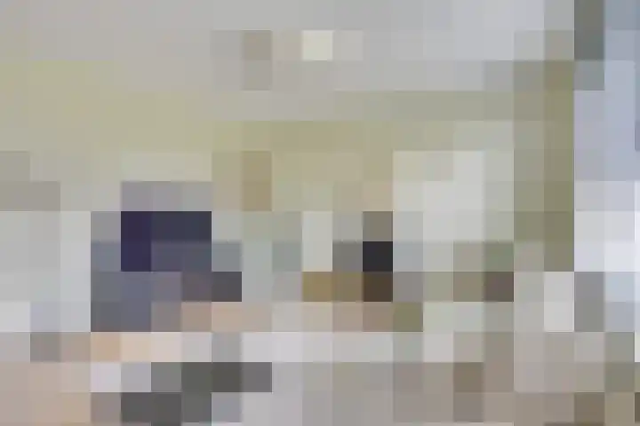 De Scheifelaar 331 Veghel thumbnail 24