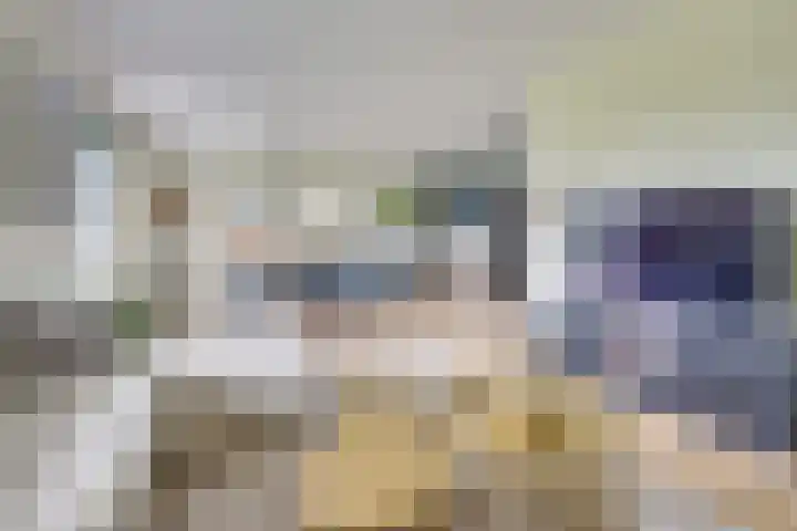 De Scheifelaar 331 Veghel thumbnail 25