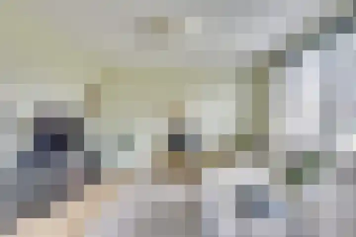 De Scheifelaar 331 Veghel thumbnail 27