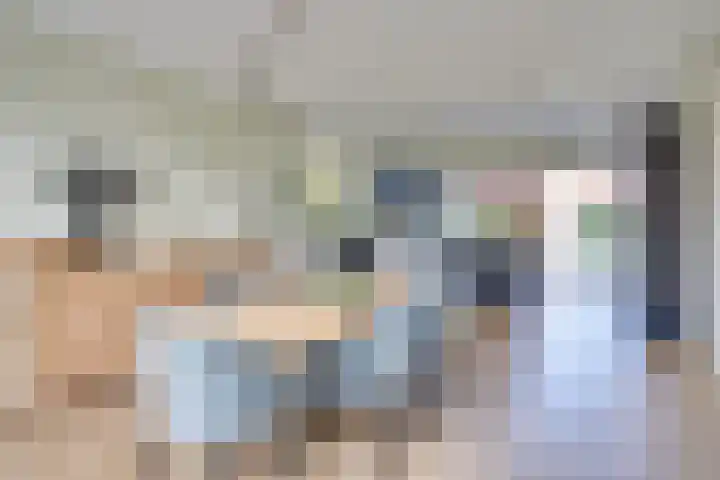 De Scheifelaar 331 Veghel thumbnail 28
