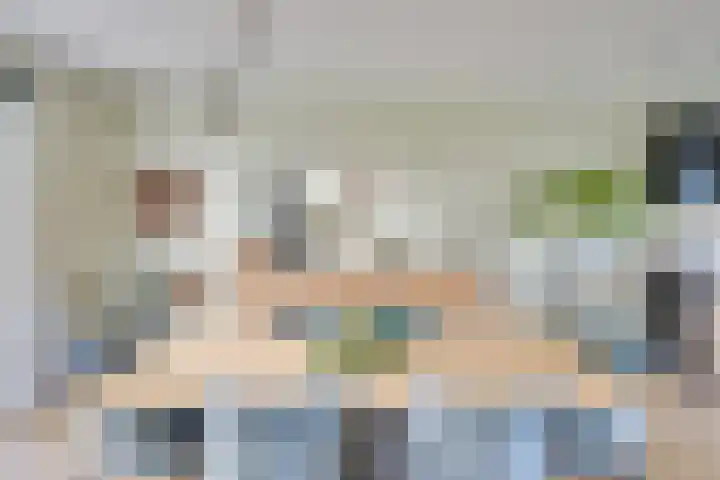 De Scheifelaar 331 Veghel thumbnail 30