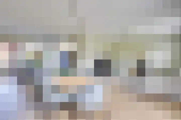 De Scheifelaar 331 Veghel thumbnail 31