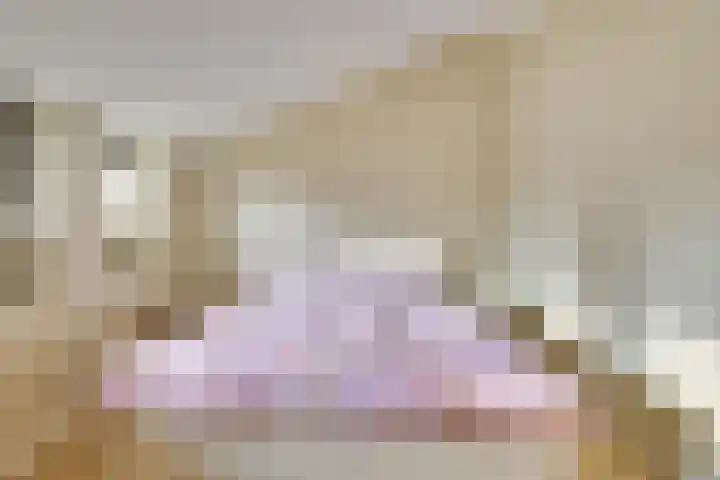 De Scheifelaar 331 Veghel thumbnail 33