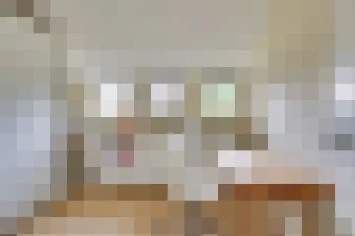 De Scheifelaar 331 Veghel thumbnail 35
