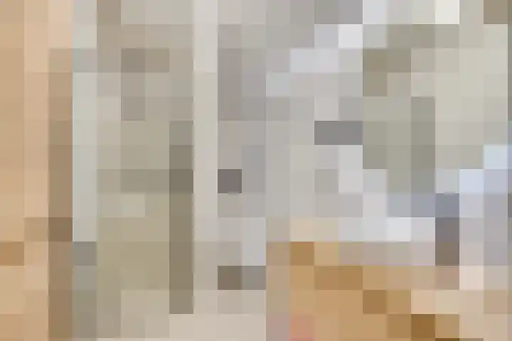 De Scheifelaar 331 Veghel thumbnail 36