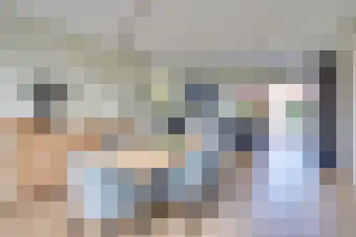 De Scheifelaar 331 Veghel thumbnail 4