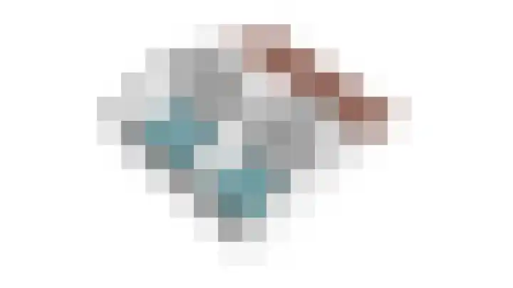 De Scheifelaar 331 Veghel thumbnail 46
