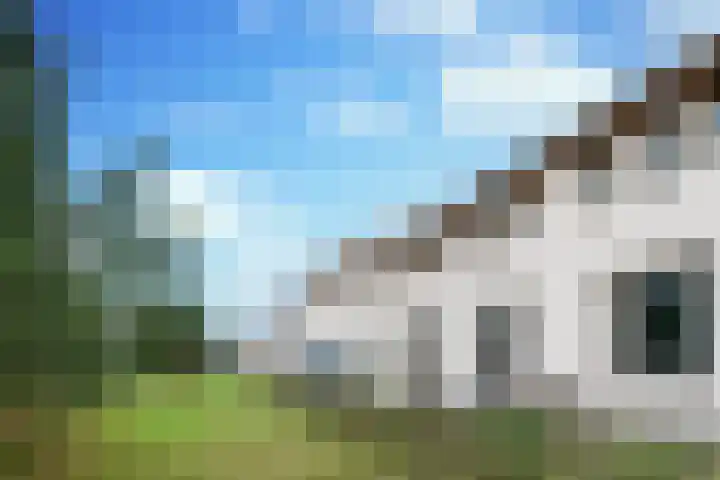 De Scheifelaar 331 Veghel thumbnail 8