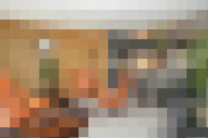 De Scheifelaar 335 Veghel thumbnail 12