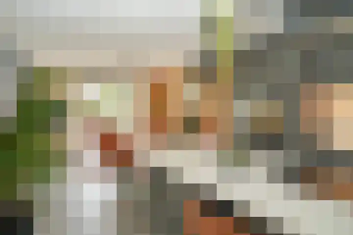 De Scheifelaar 335 Veghel thumbnail 16
