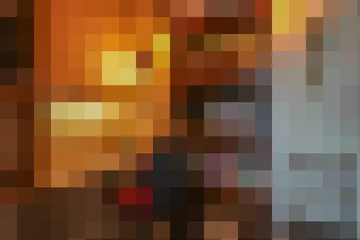 De Scheifelaar 335 Veghel thumbnail 21