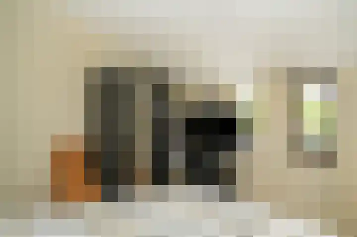 De Scheifelaar 335 Veghel thumbnail 24