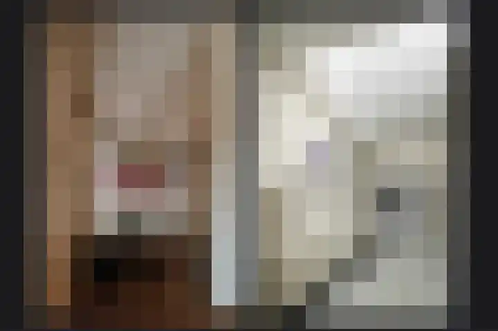 De Scheifelaar 335 Veghel thumbnail 29