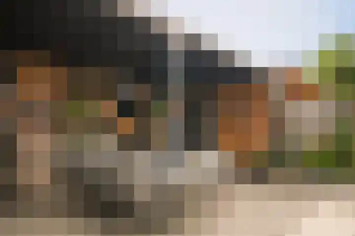 De Scheifelaar 335 Veghel thumbnail 32