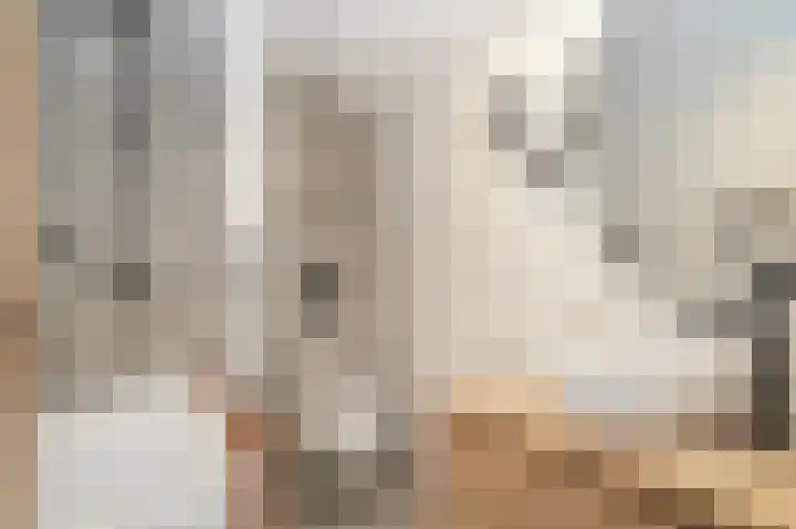 De Scheifelaar 335 Veghel thumbnail 4
