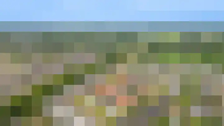 De Scheifelaar 335 Veghel thumbnail 44