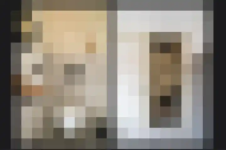 De Scheifelaar 335 Veghel thumbnail 8