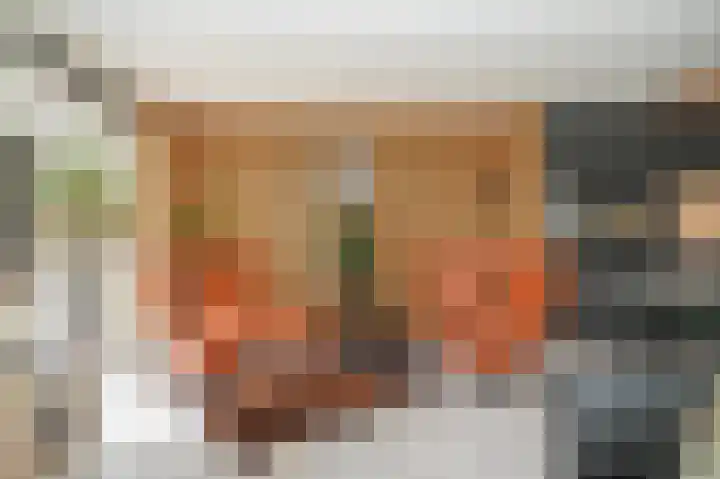 De Scheifelaar 335 Veghel thumbnail 9