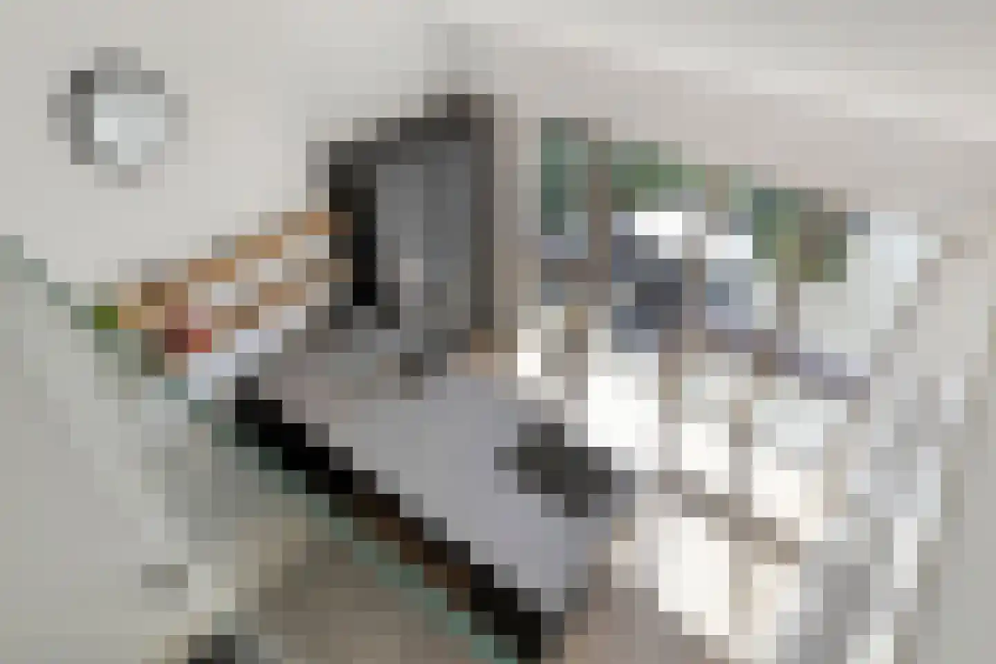 De Scheifelaar 343 Veghel thumbnail 20