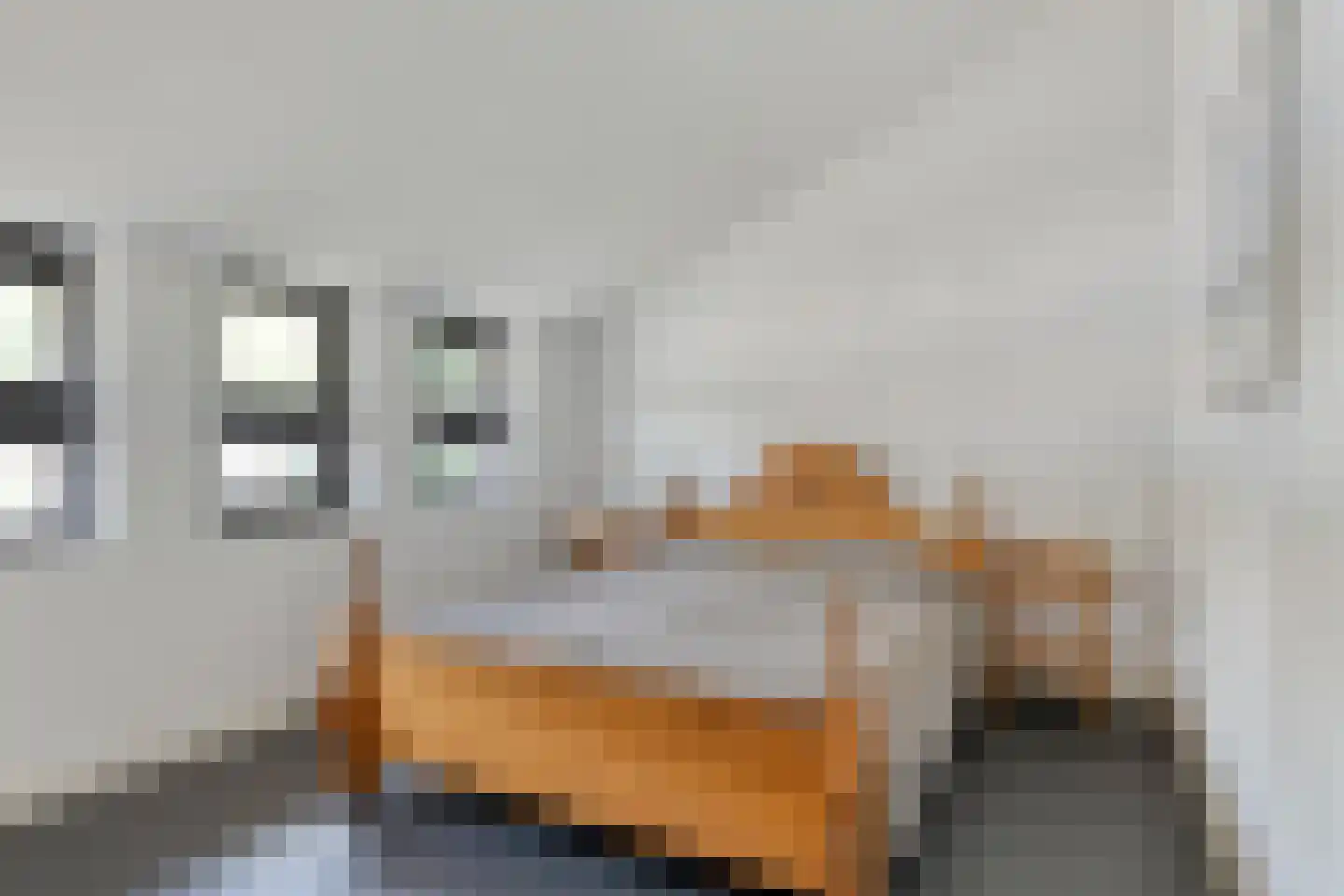 De Scheifelaar 343 Veghel thumbnail 24