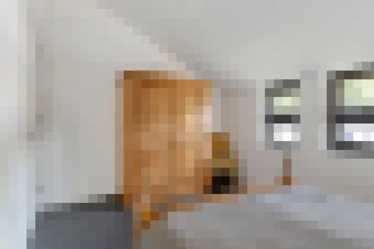 De Scheifelaar 343 Veghel thumbnail 25