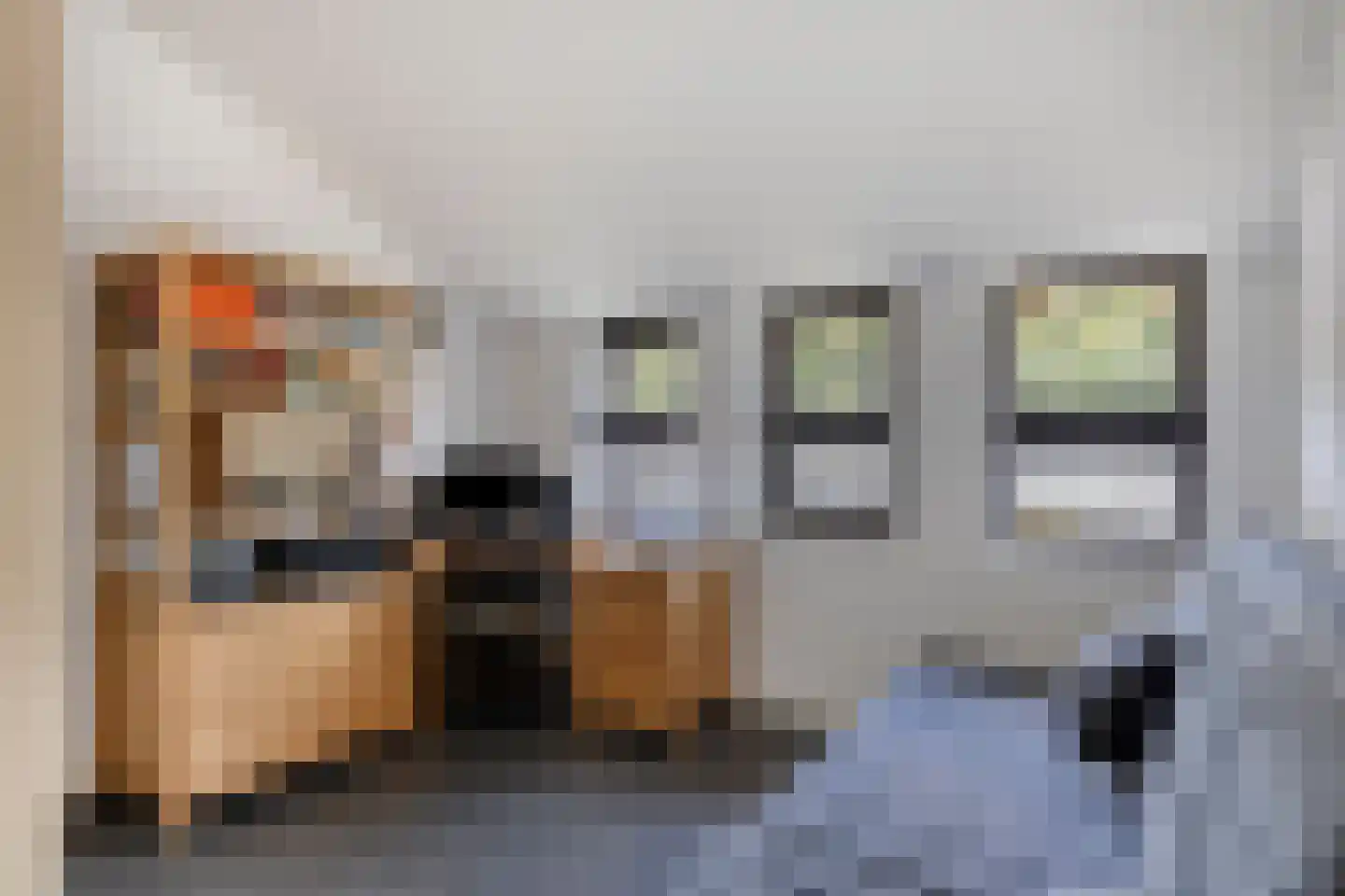 De Scheifelaar 343 Veghel thumbnail 26
