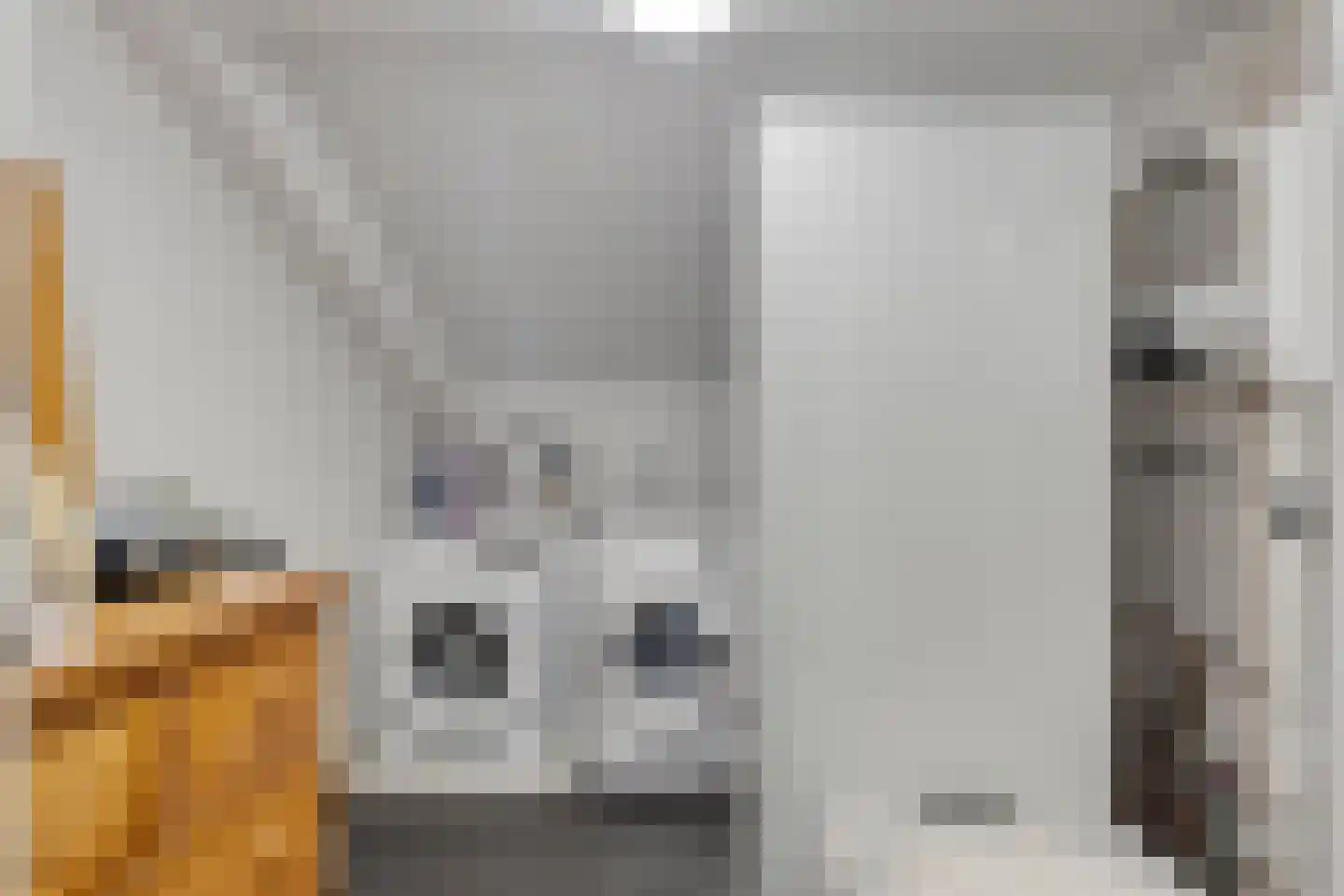 De Scheifelaar 343 Veghel thumbnail 27