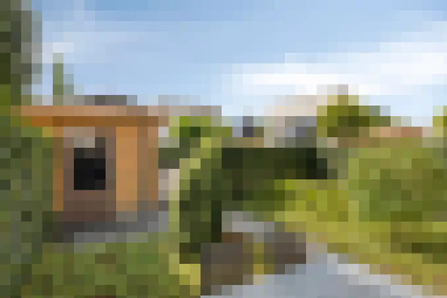 De Scheifelaar 343 Veghel thumbnail 28