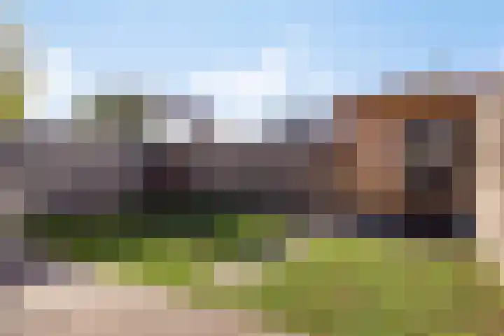 De Scheifelaar 352 Veghel thumbnail 28