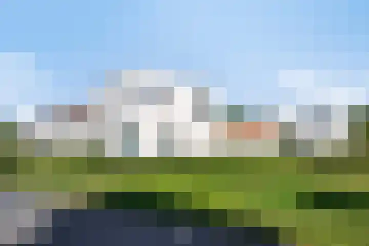 De Scheifelaar 352 Veghel thumbnail 32
