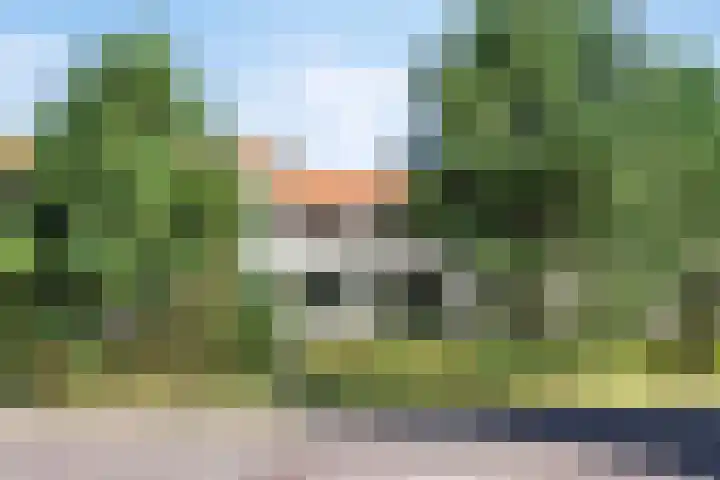 De Scheifelaar 352 Veghel thumbnail 33